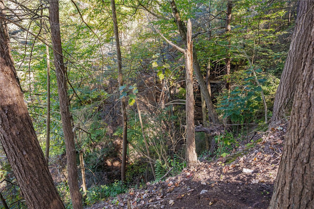 8302 Wesley Road Richmond, NY 14471 - Photo 37 of 40