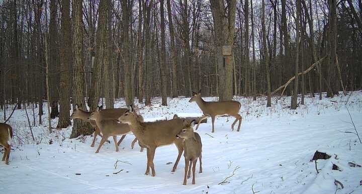 8302 Wesley Road Richmond, NY 14471 - Photo 39 of 40