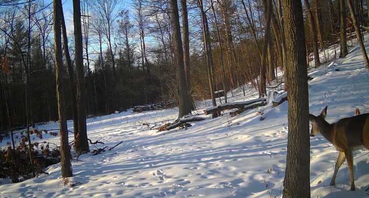 8302 Wesley Road Richmond, NY 14471 - Photo 40 of 40