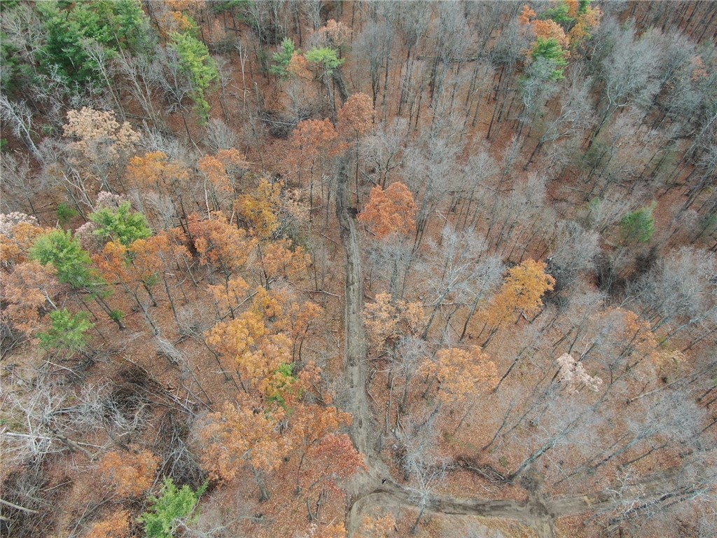 8302 Wesley Road Richmond, NY 14471 - Photo 4 of 40