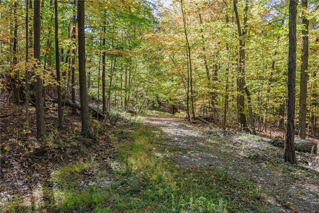 8302 Wesley Road Richmond, NY 14471 - Photo 6 of 40