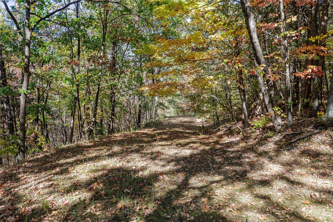 8302 Wesley Road Richmond, NY 14471 - Photo 8 of 40