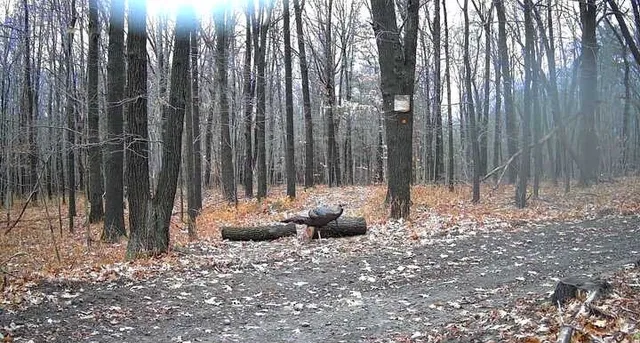 $329,900 | 8302 Wesley Road, Richmond, NY 14471