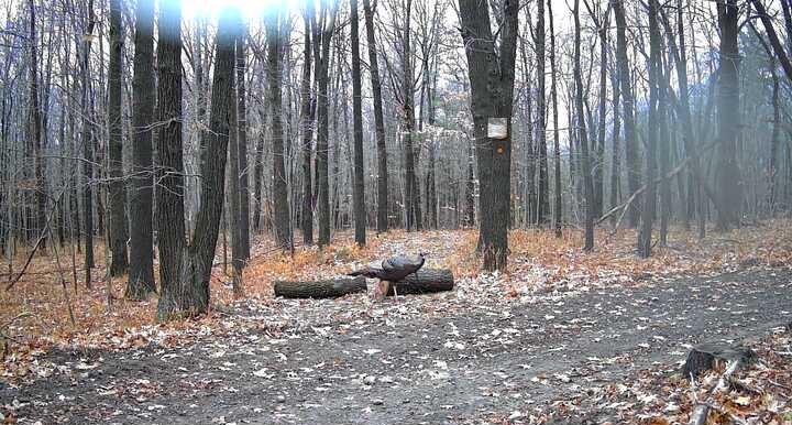 8302 Wesley Road Richmond, NY 14471 - Photo 9 of 40