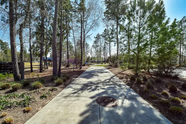 $449,500 | 17463 Vino Vines Lane, Conroe, TX 77302