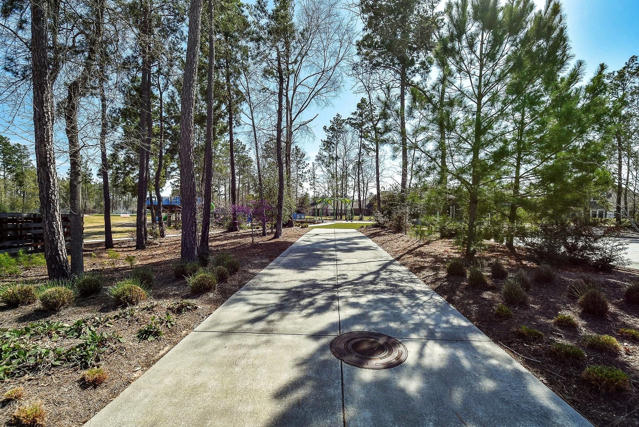 17463 Vino Vines Lane Conroe, TX 77302 - Photo 45 of 48