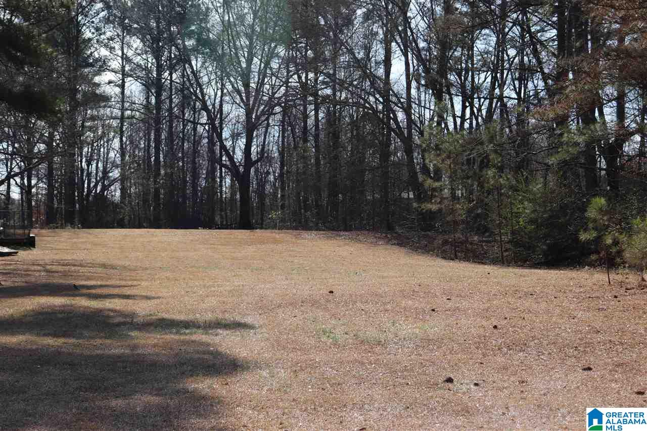 4908 Jim Goggans Road Dora, AL 35062 - Photo 23 of 30