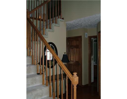 793 Timberview Avenue Springfield, OH 45502 - Photo 3 of 18