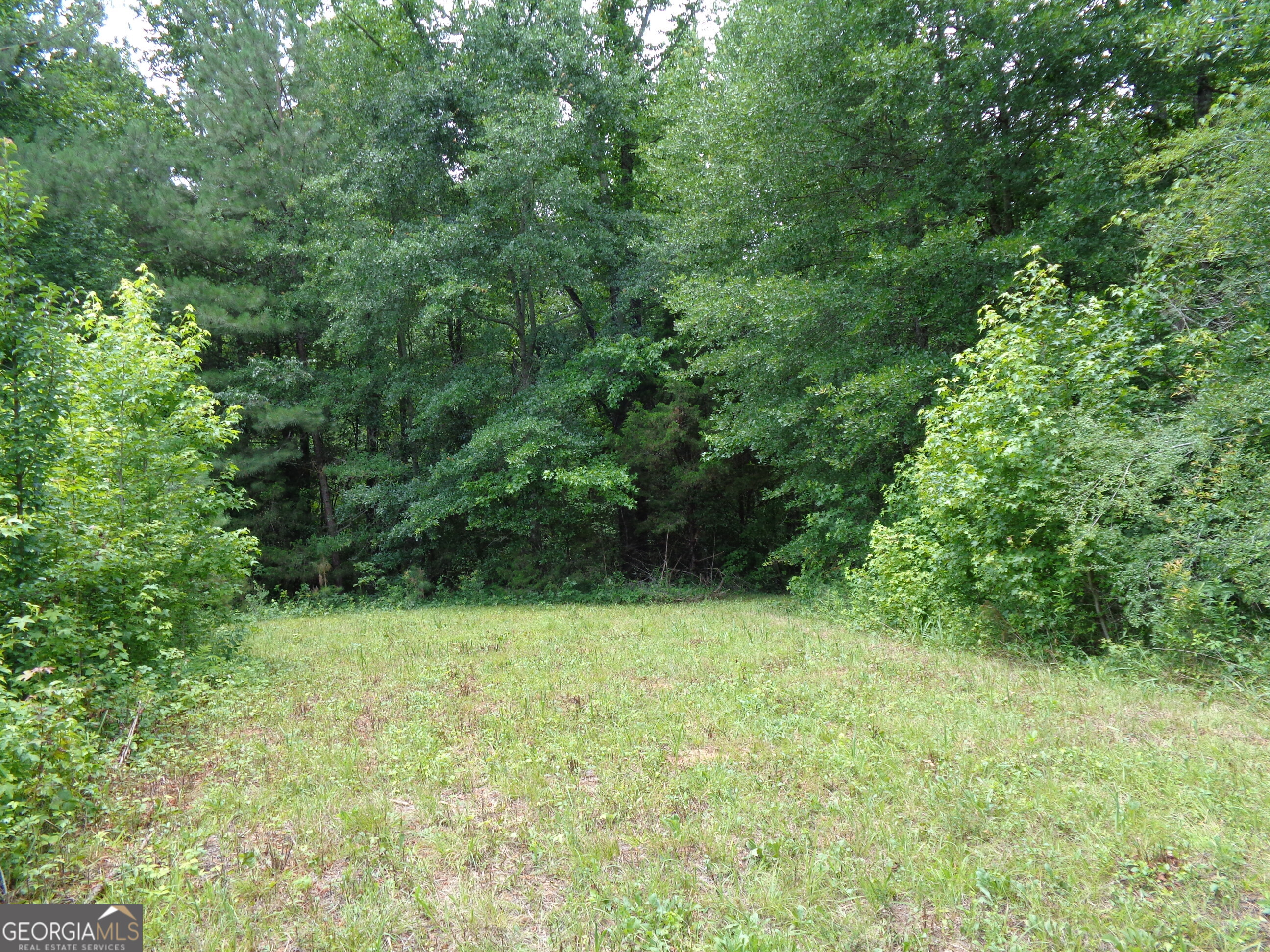 2411 Kesler Road Carnesville, GA 30521 - Photo 4 of 61 a view of an outdoor space and a yard