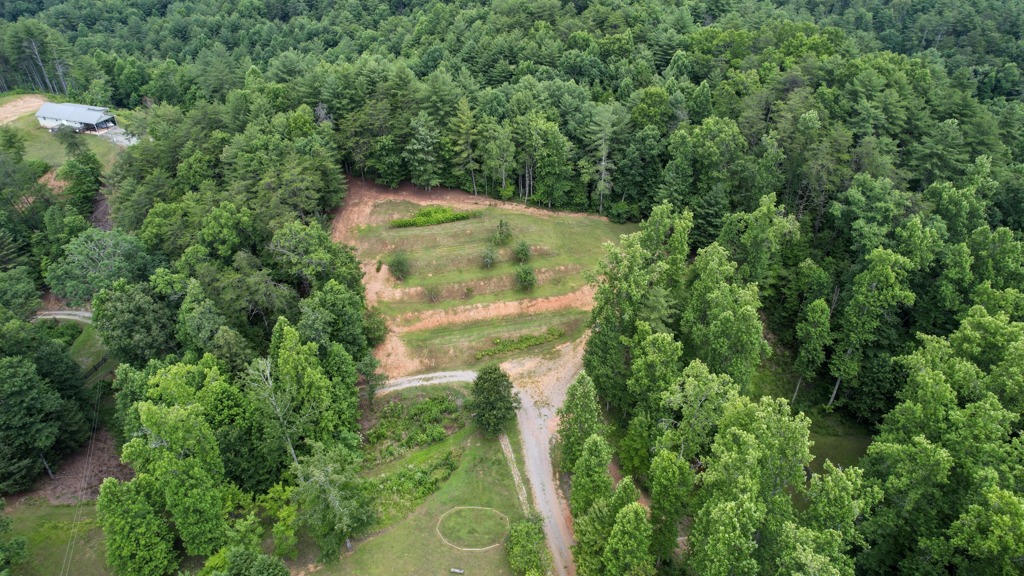 201 Campbell Branch Road Reliance, TN 37369 - Photo 95 of 99