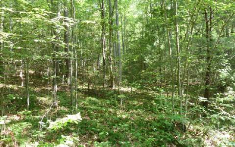 3.54 Sam Hill Road Murphy, NC 28906 - Photo 1 of 1 Main View