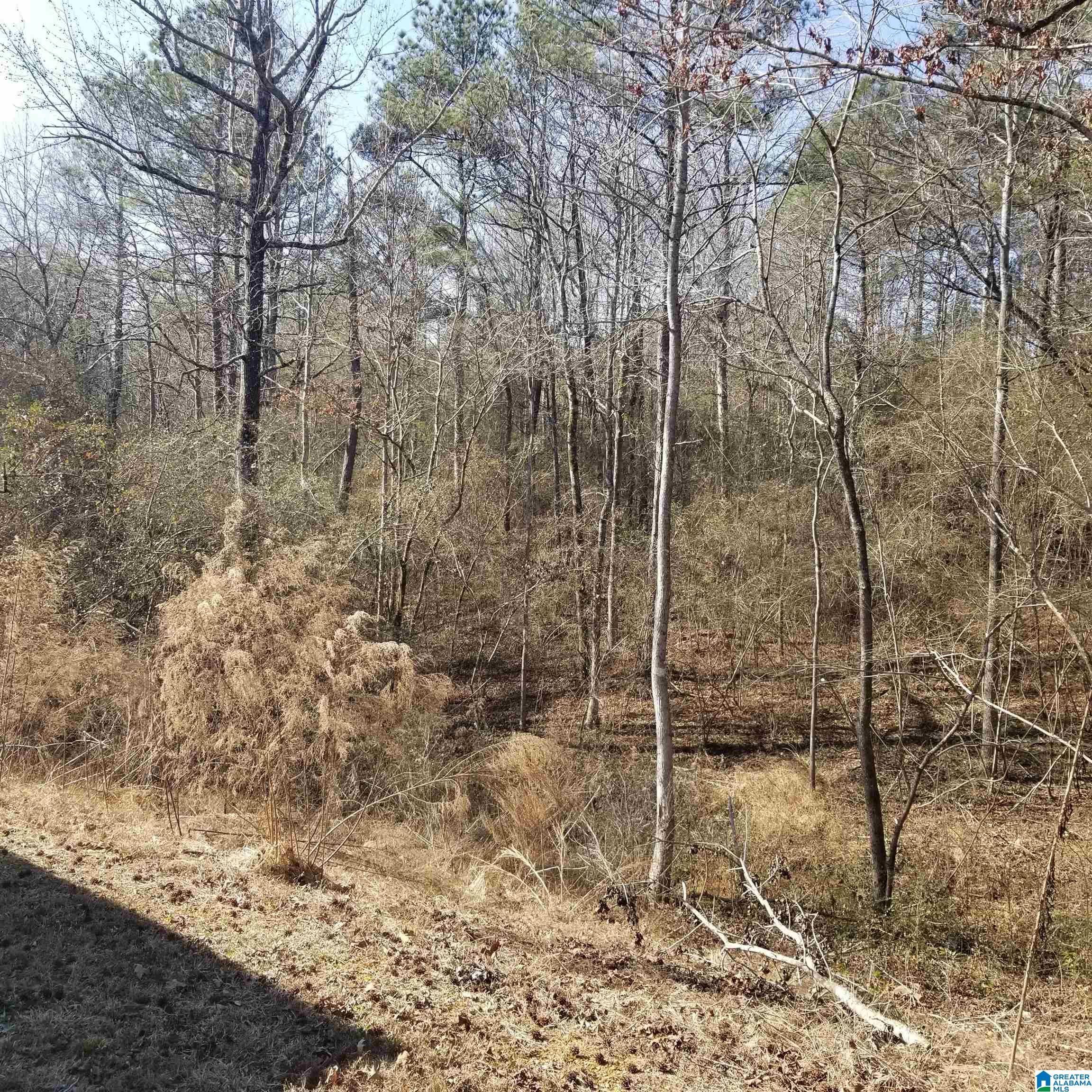 635 Deerbrook Road Pell City, AL 35125 - Photo 28 of 39