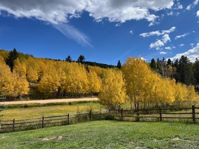 689 Divide S Drive Divide, CO 80814 - Photo 46 of 50