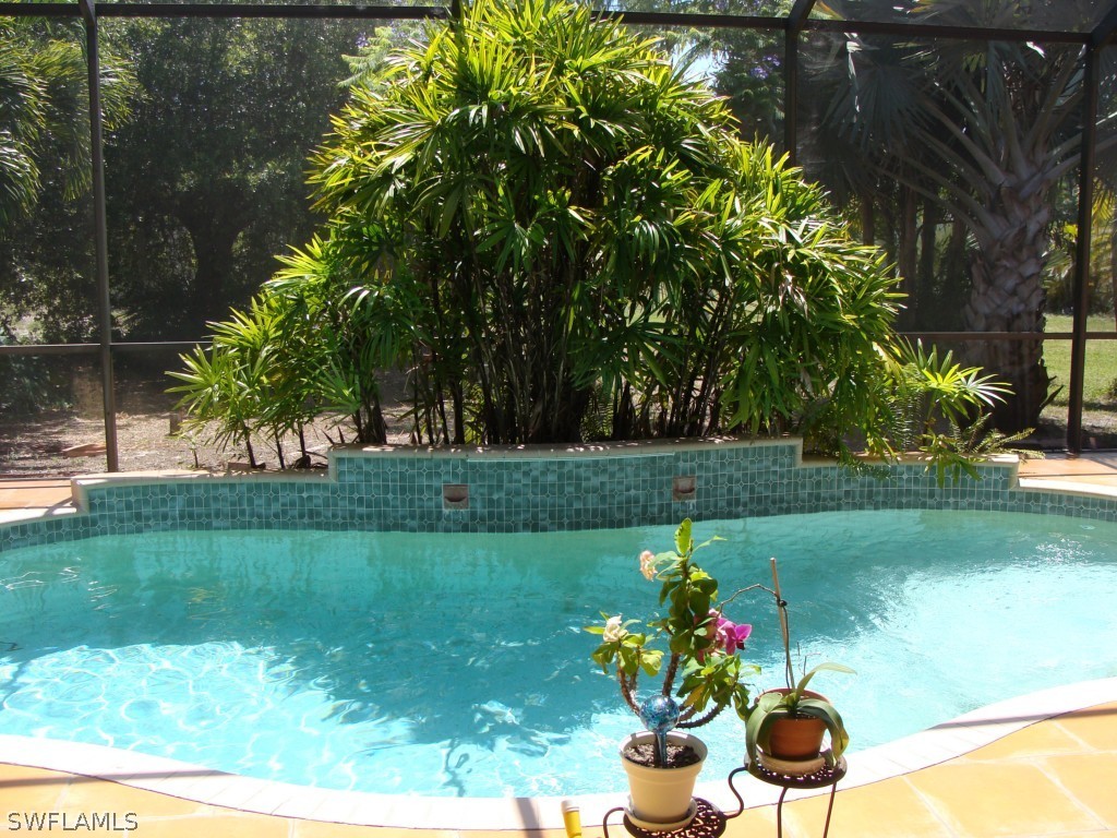 13710 Robert Road Bokeelia, FL 33922 - Photo 18 of 24 a view of a garden with plants and large trees