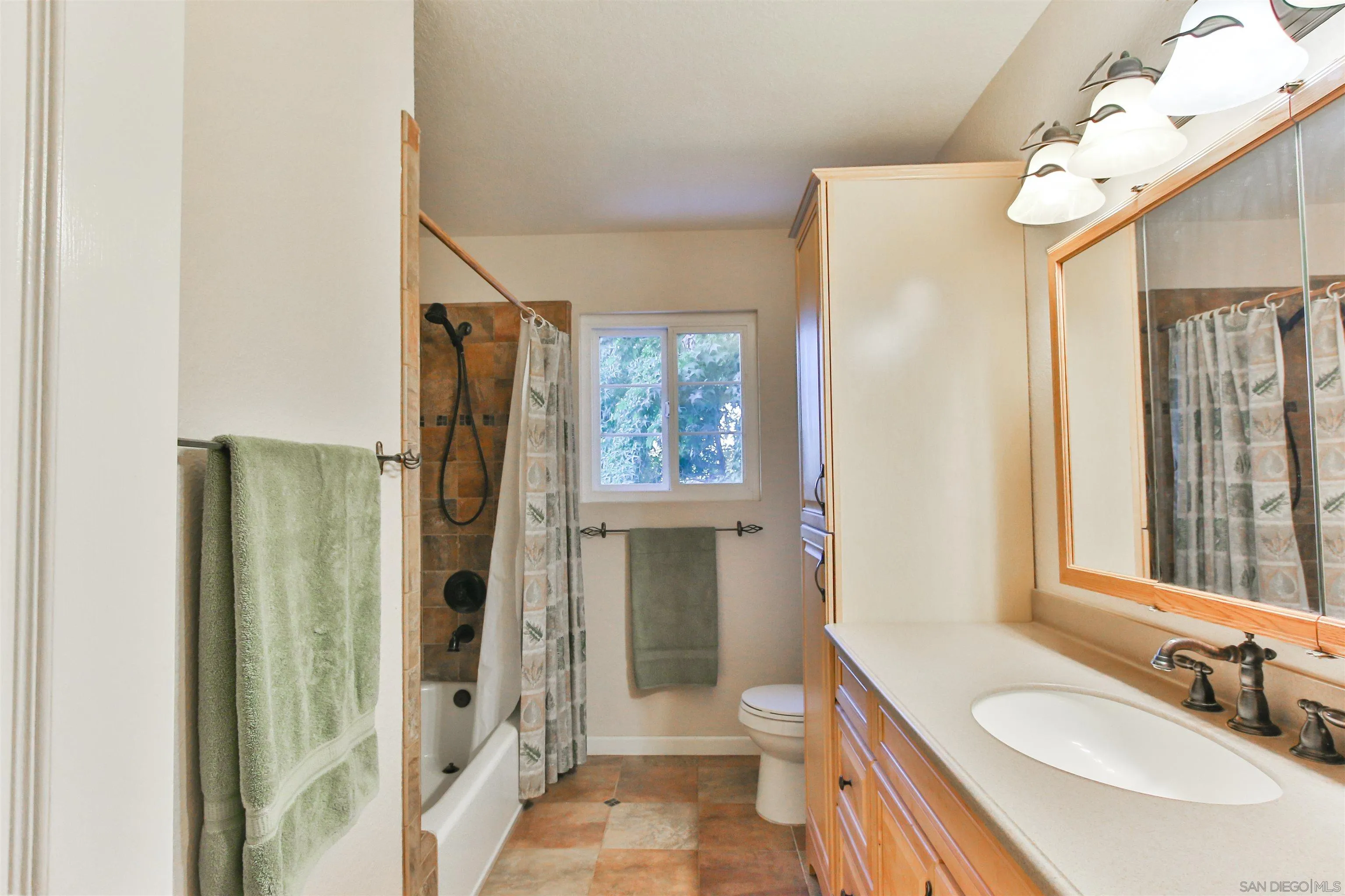 648 Norwynn Lane Fallbrook, CA 92028 - Photo 12 of 17 a bathroom with a sink a toilet and shower