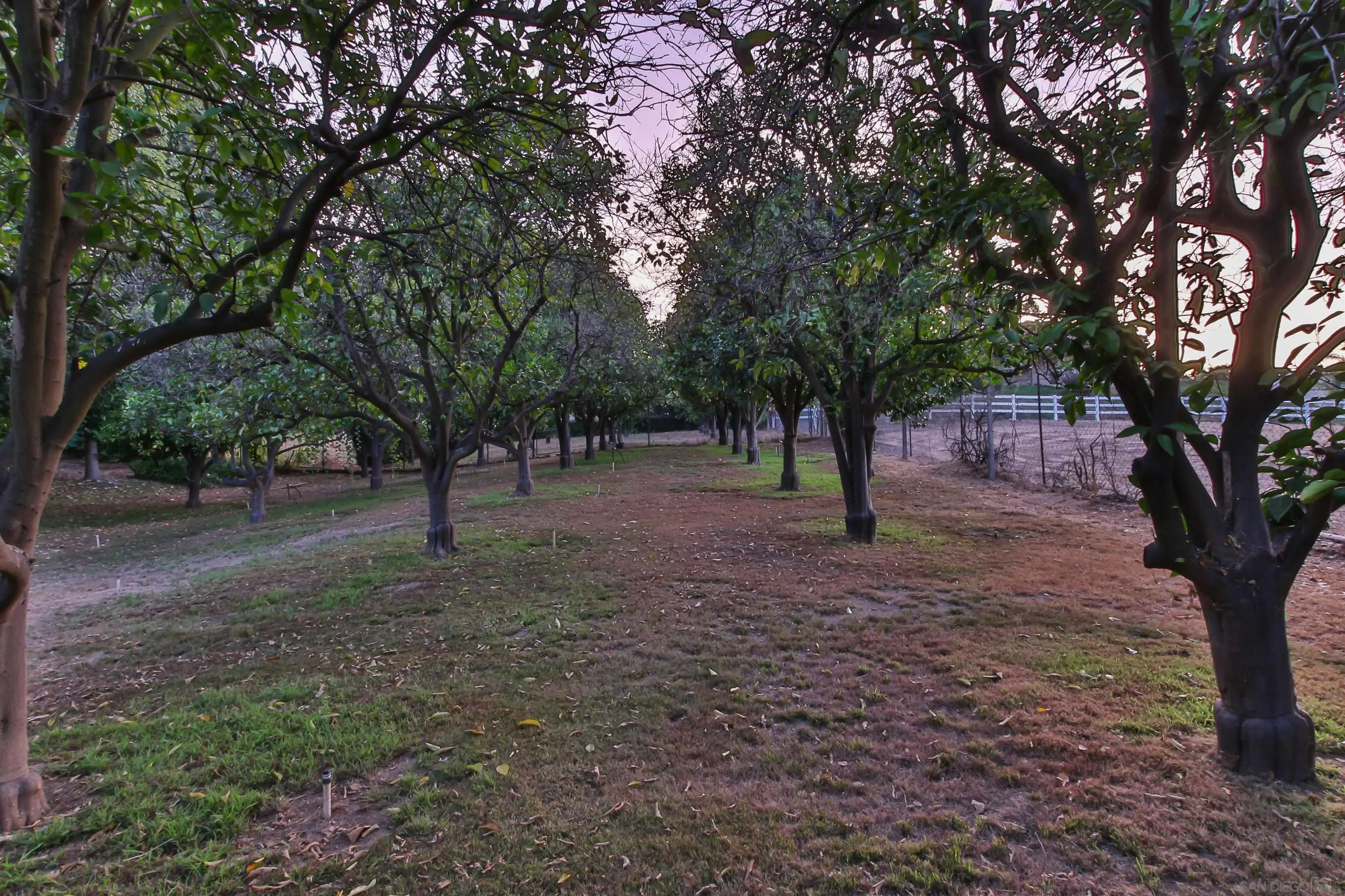 648 Norwynn Lane Fallbrook, CA 92028 - Photo 15 of 17 a view of outdoor space with tree s
