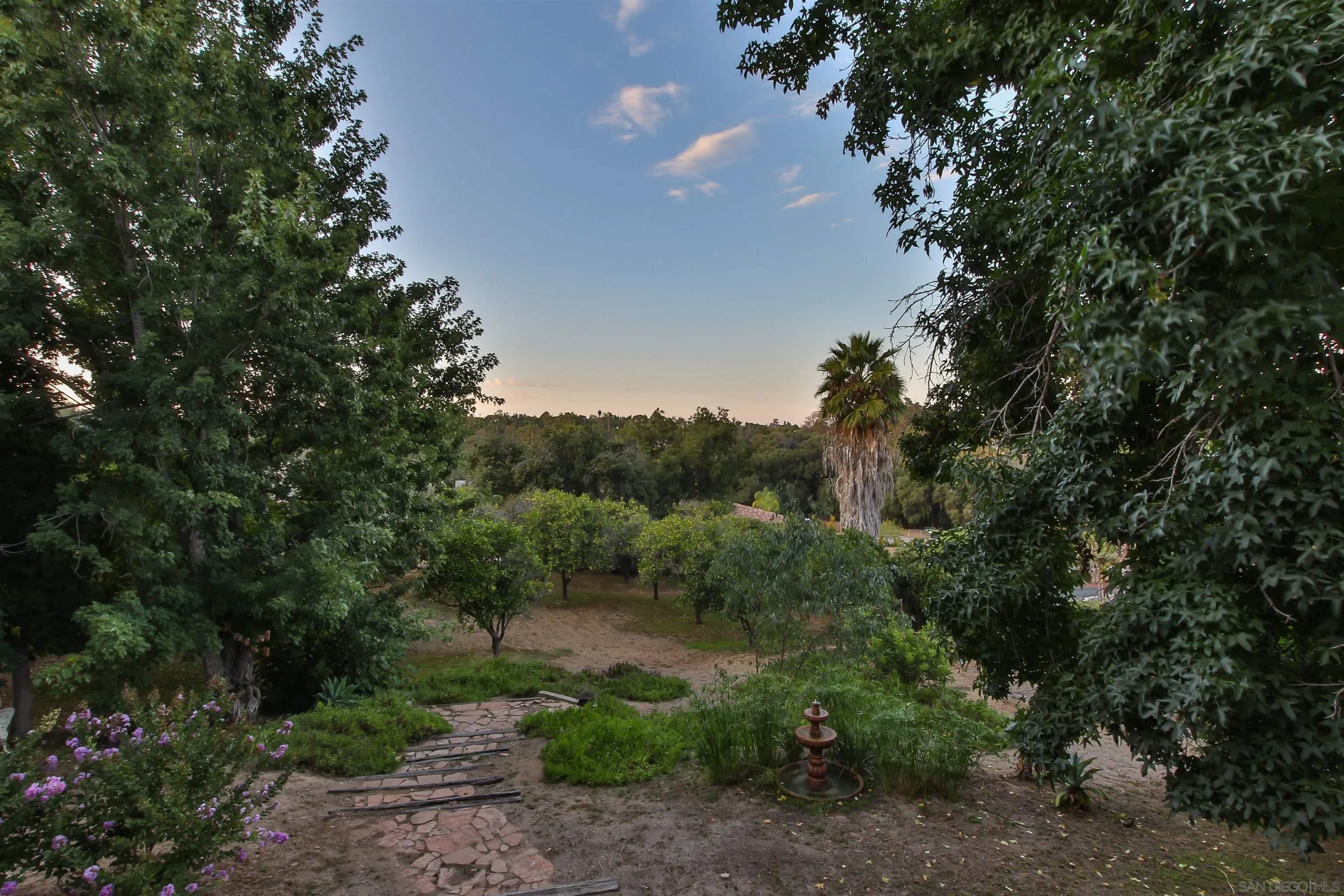 648 Norwynn Lane Fallbrook, CA 92028 - Photo 16 of 17 a view of a forest with trees in the background
