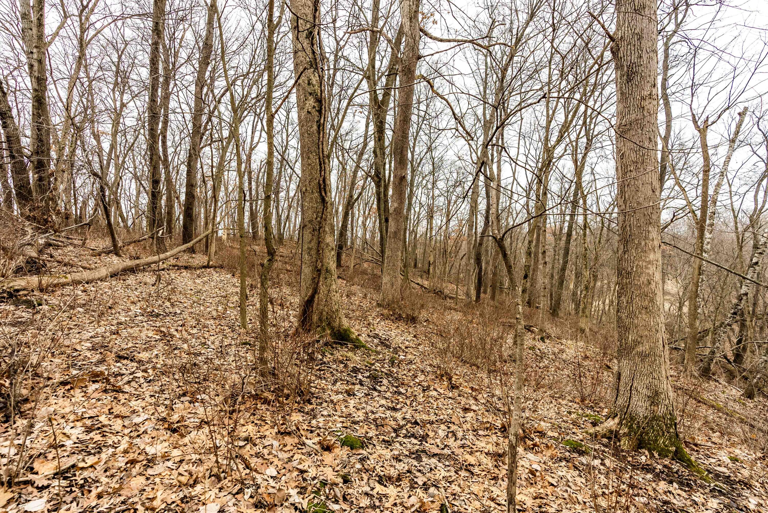 Lt3 St Charles Road Cassville, WI 53806 - Photo 11 of 13 Grant-County-WI-15-Acres-Land-For-Sale-1