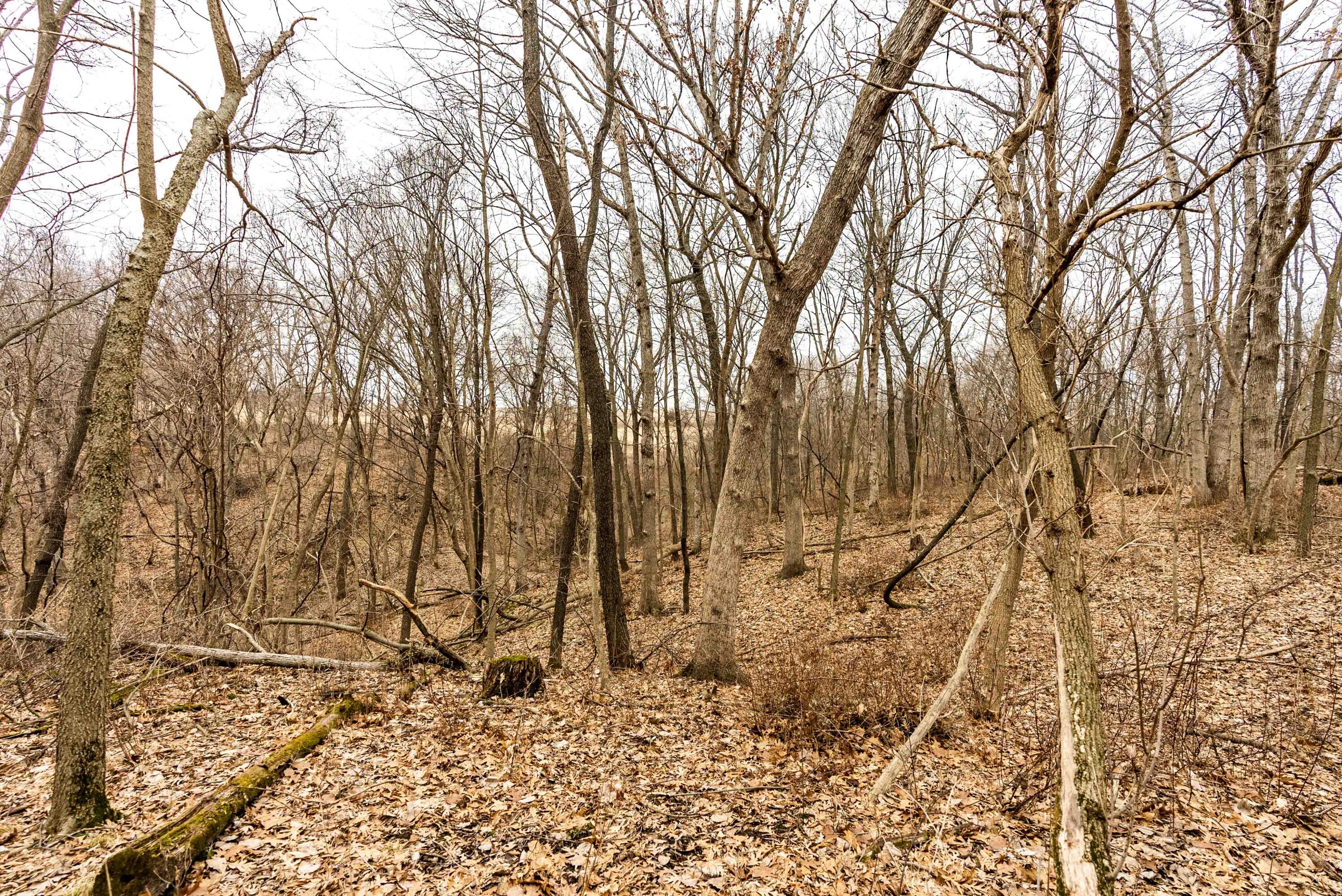 Lt3 St Charles Road Cassville, WI 53806 - Photo 12 of 13 Grant-County-WI-15-Acres-Land-For-Sale-1