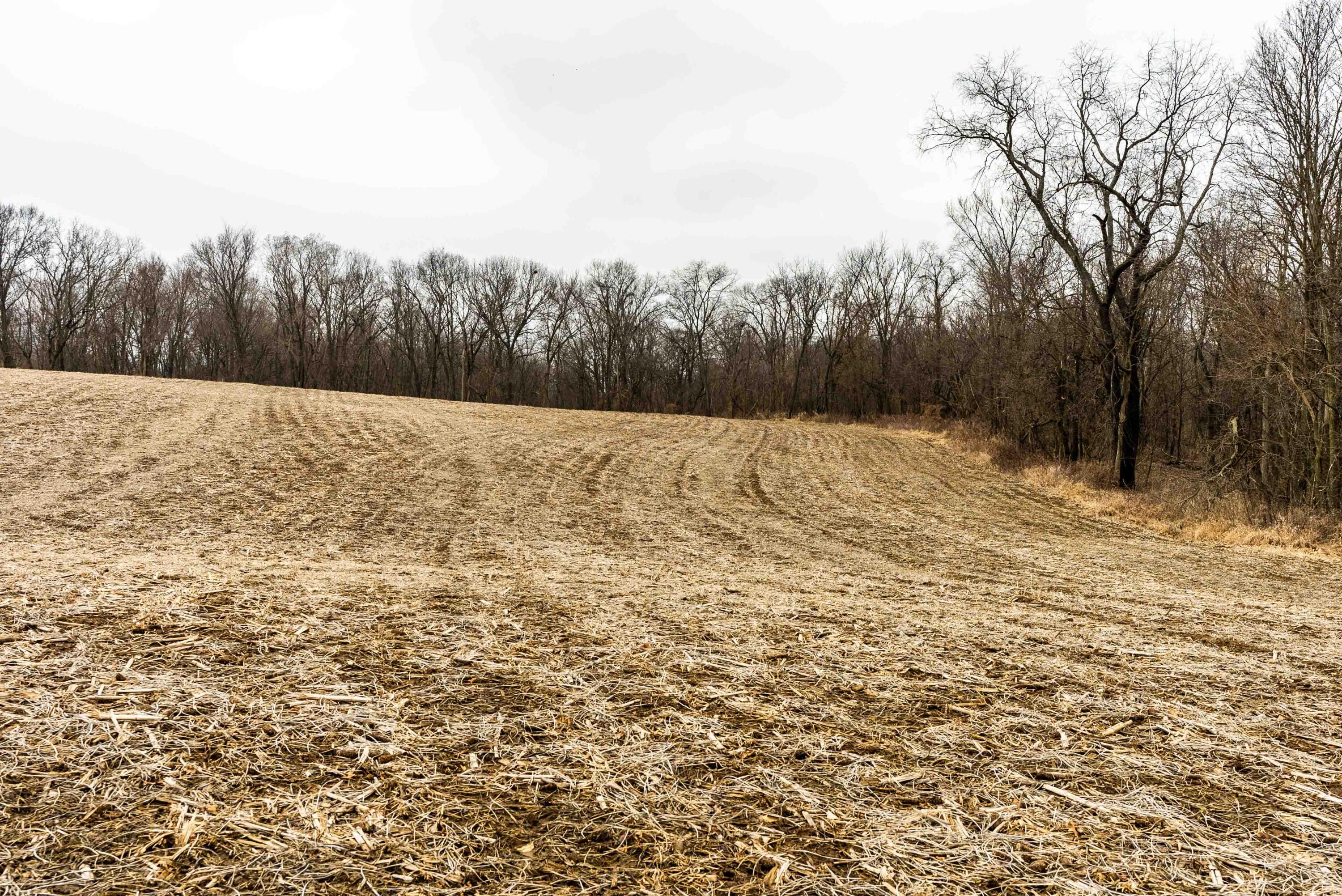 Lt3 St Charles Road Cassville, WI 53806 - Photo 5 of 13 Grant-County-WI-15-Acres-Land-For-Sale-4