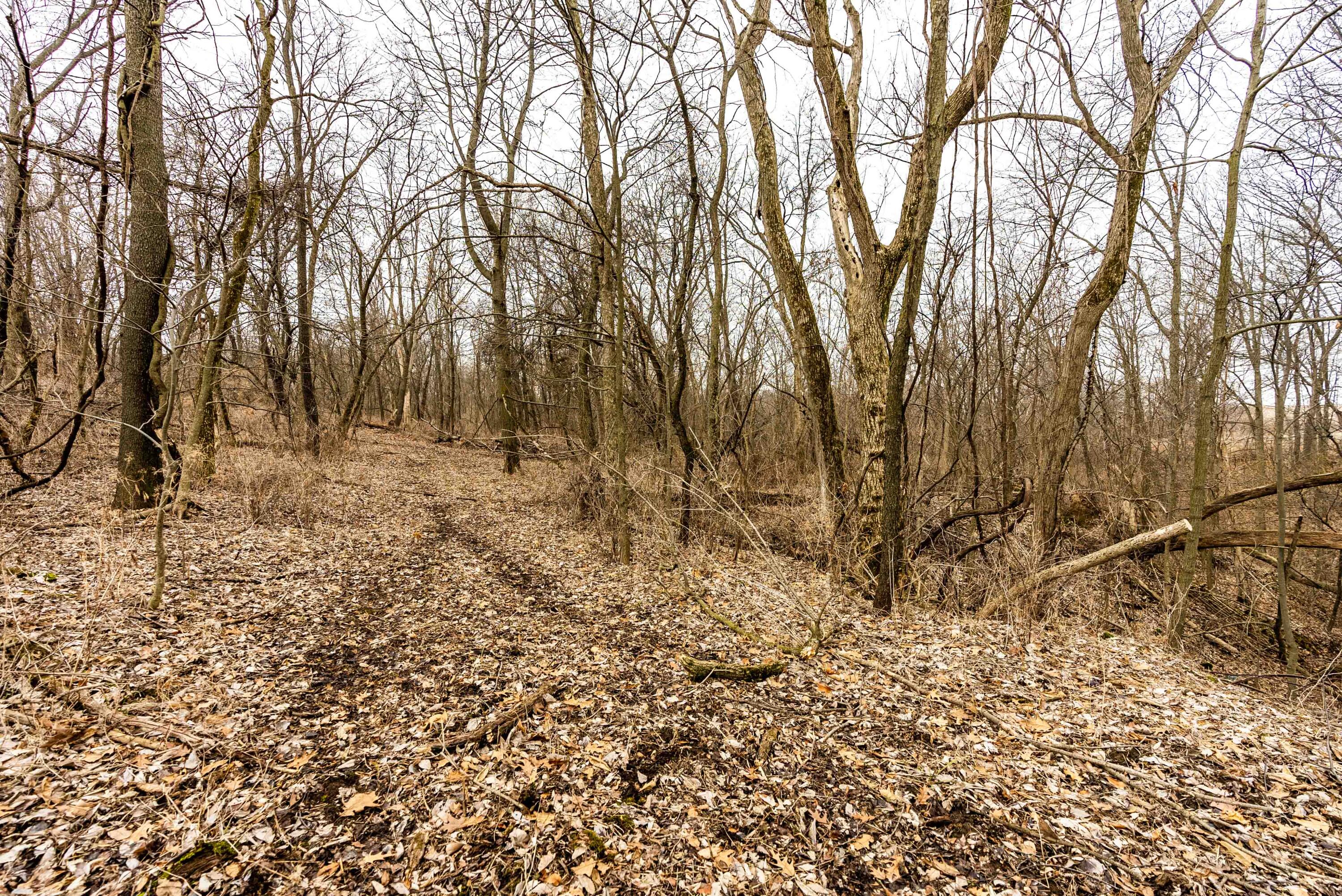 Lt3 St Charles Road Cassville, WI 53806 - Photo 7 of 13 Grant-County-WI-15-Acres-Land-For-Sale-7