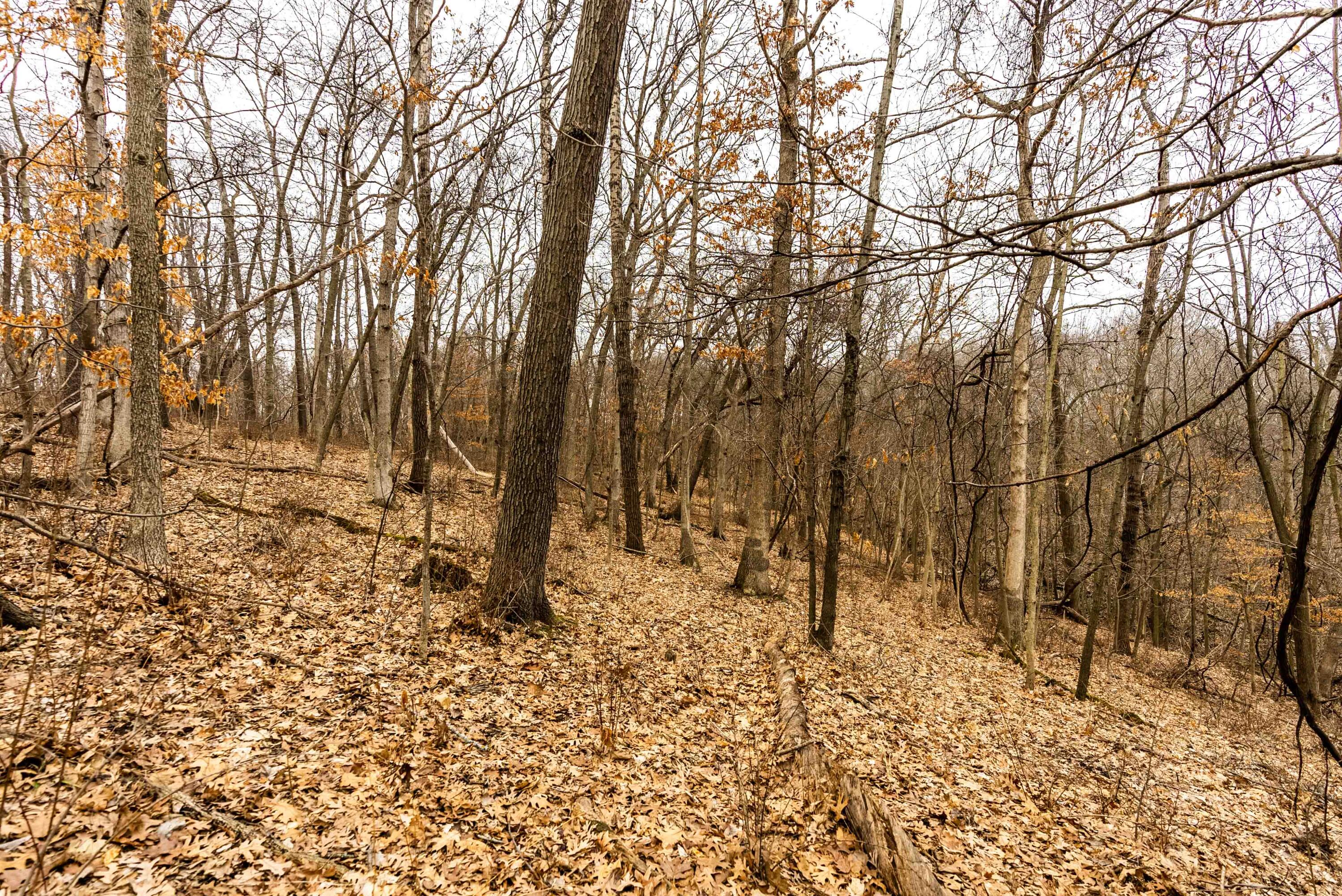 Lt3 St Charles Road Cassville, WI 53806 - Photo 8 of 13 Grant-County-WI-15-Acres-Land-For-Sale-8