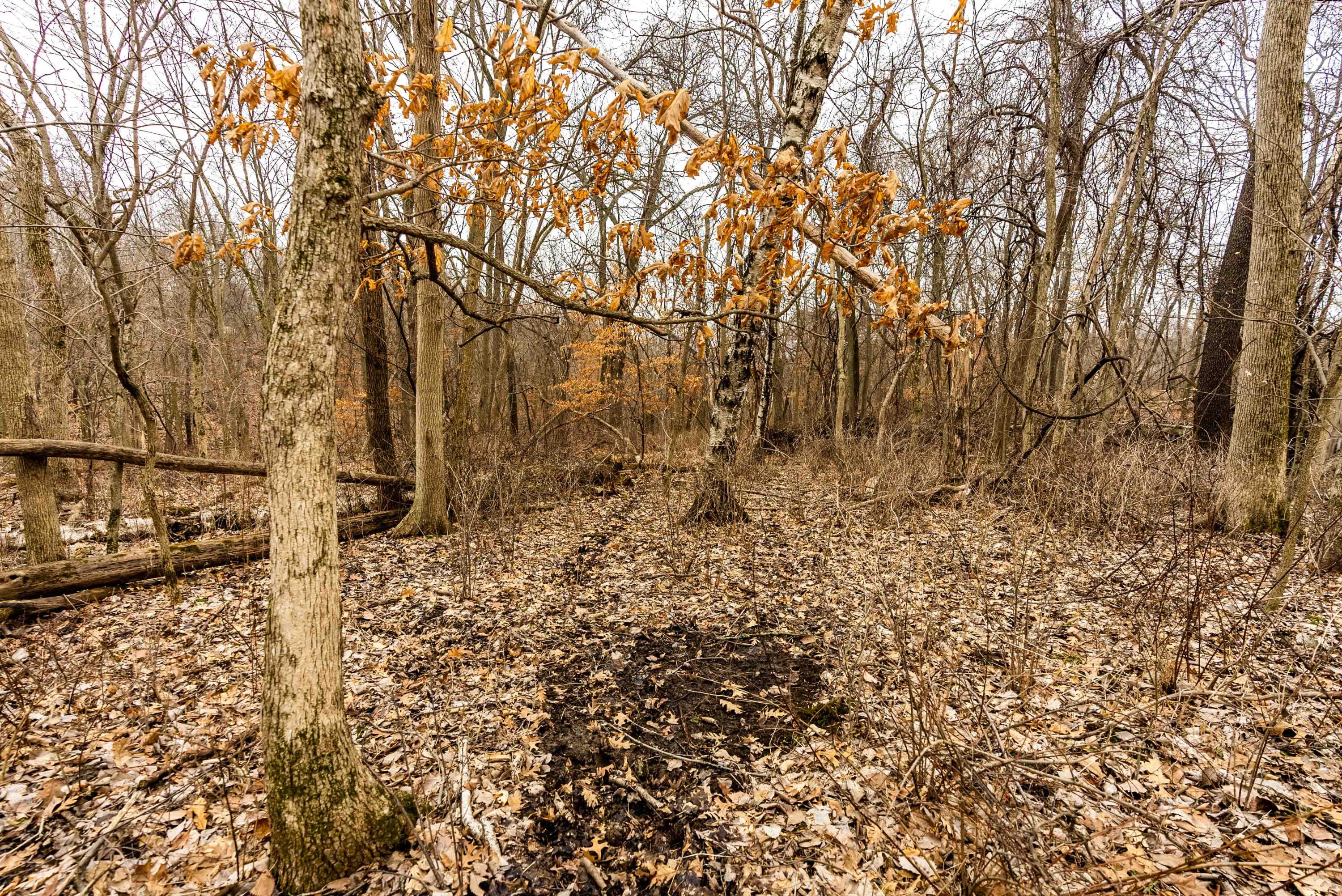 Lt3 St Charles Road Cassville, WI 53806 - Photo 9 of 13 Grant-County-WI-15-Acres-Land-For-Sale-9