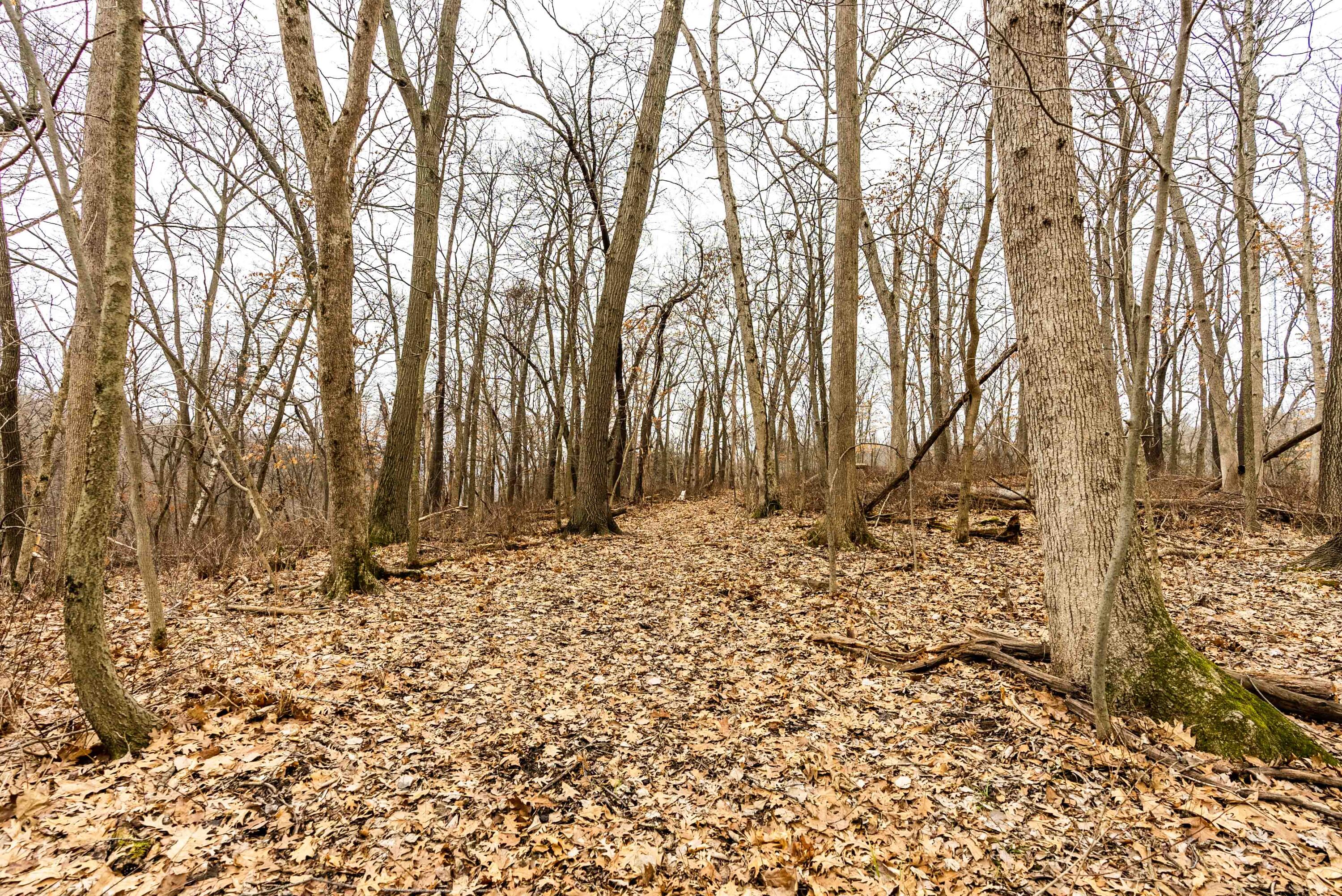 Lt3 St Charles Road Cassville, WI 53806 - Photo 10 of 13 Grant-County-WI-15-Acres-Land-For-Sale-1