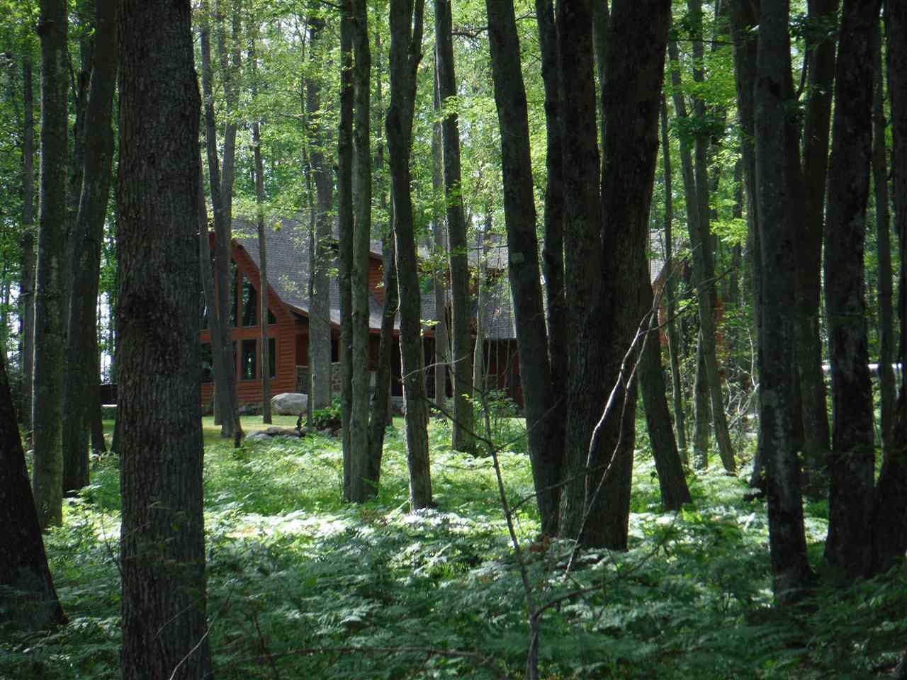 6361 North Roscommon Road Roscommon, MI 48653 - Photo 10 of 48 Gallery Image 10