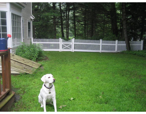 11 White Road Wayland, MA 01778 - Photo 8 of 18 a view of a house with backyard and a garden
