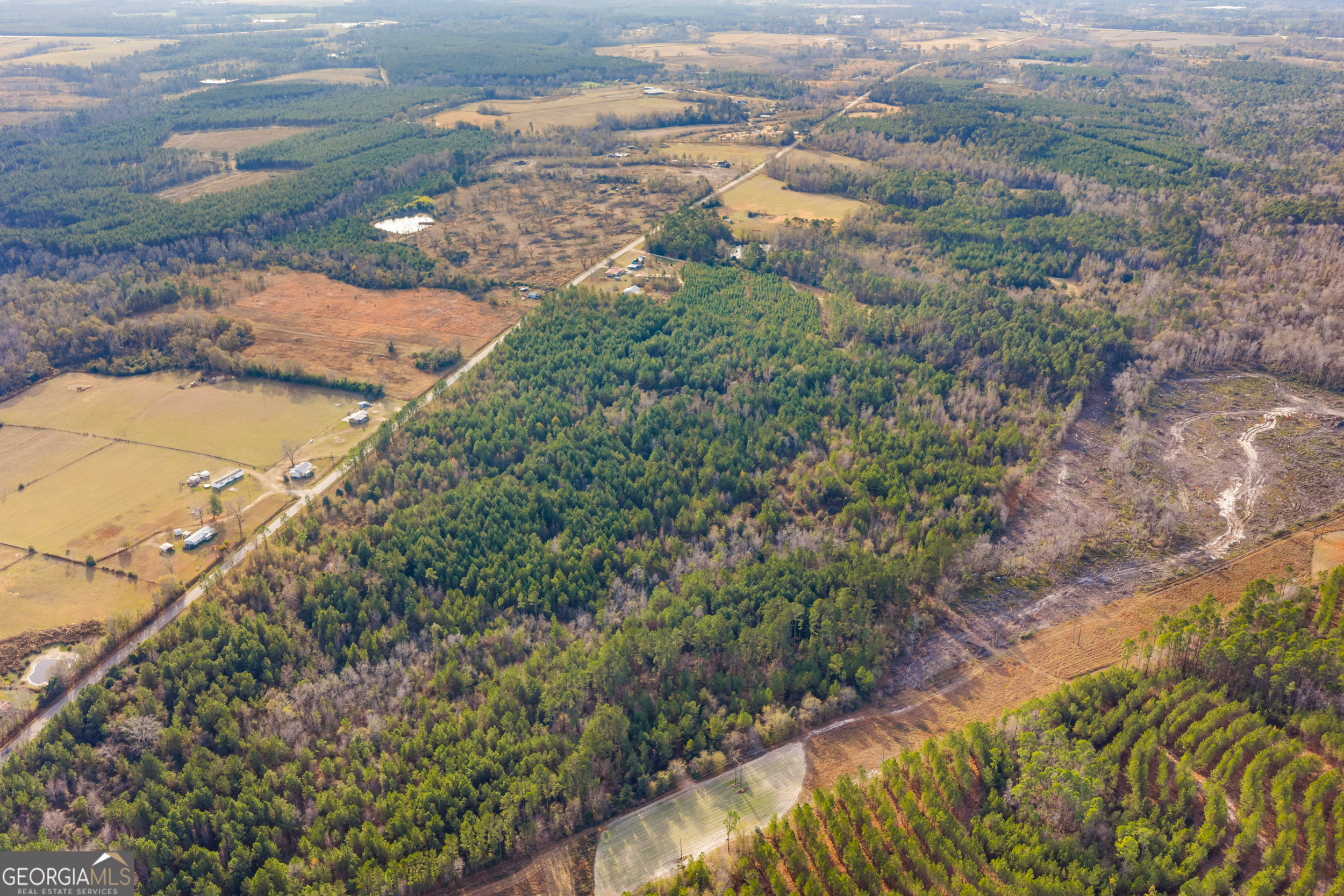 0 Quick Road, Unit LOT 10B Swainsboro, GA 30401 - Photo 7 of 11 Gallery Image 7