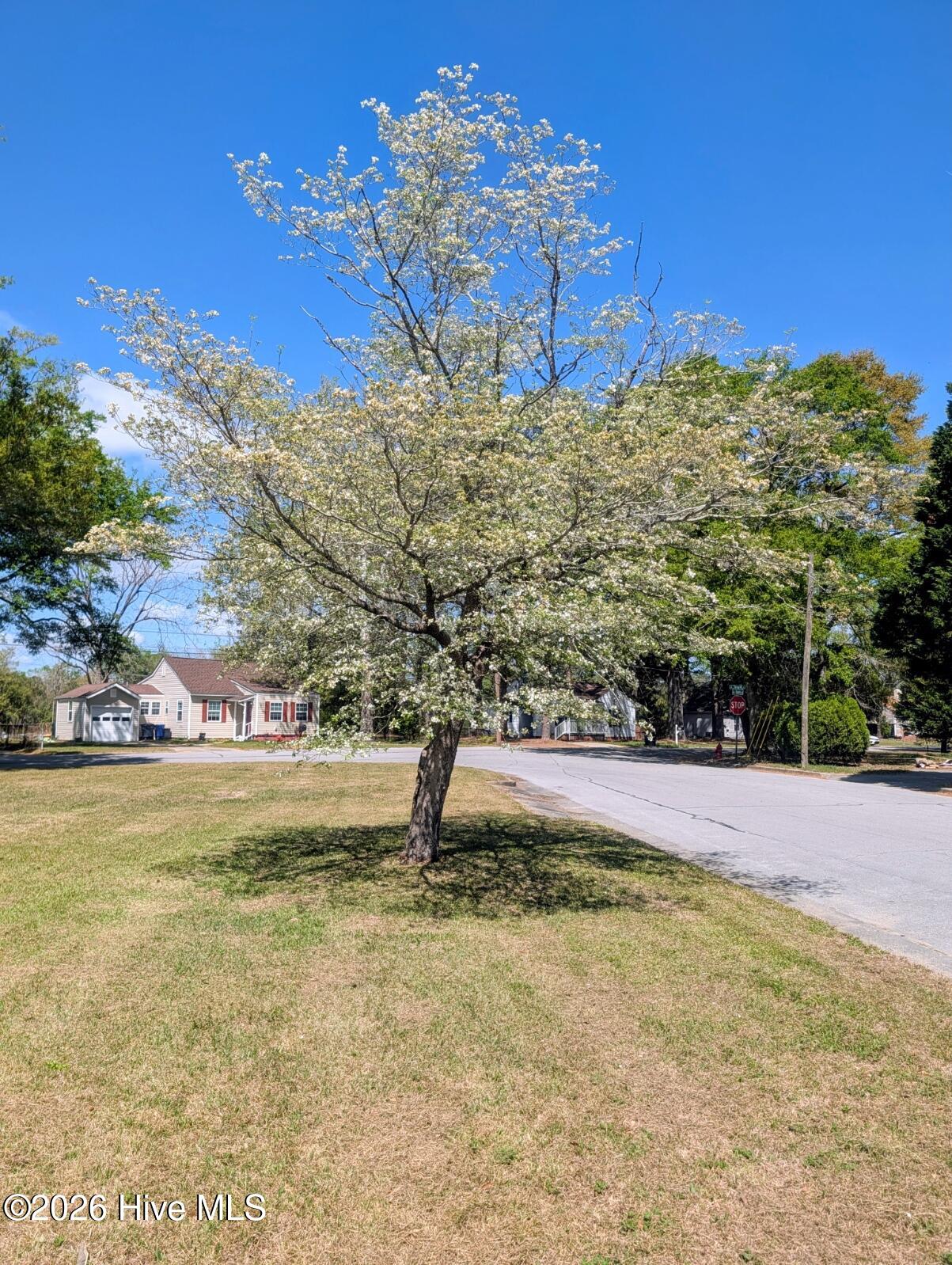 217 Queens Road Jacksonville, NC 28540 - Photo 12 of 12 DOGWOOD