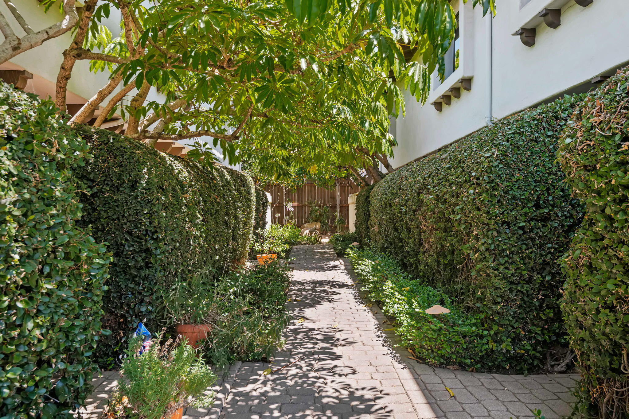 2012 Castillo Street, Unit B Santa Barbara, CA 93105 - Photo 21 of 21 21-Walkway