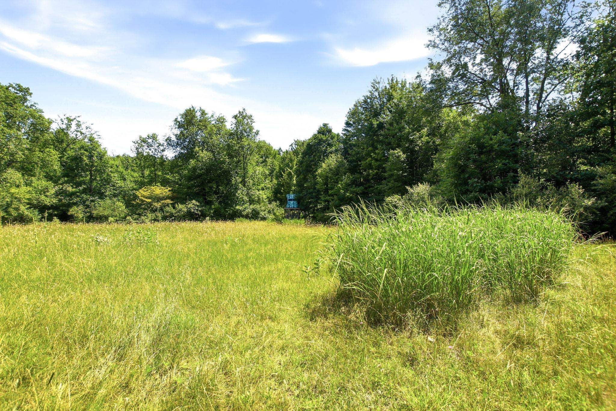4960 Washburn Road Vassar, MI 48768 - Photo 44 of 68
