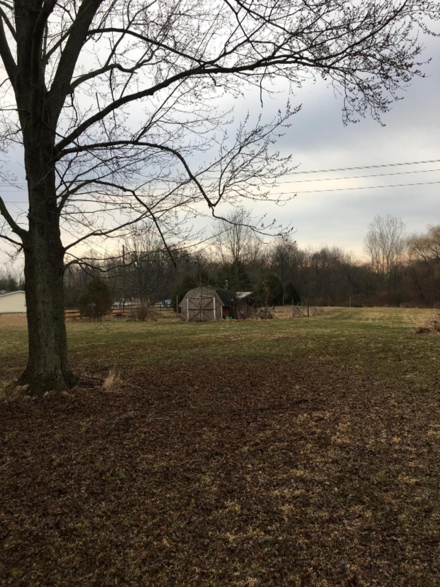 480 North Trent Road Ravenna, MI 49451 - Photo 1 of 11 480.7