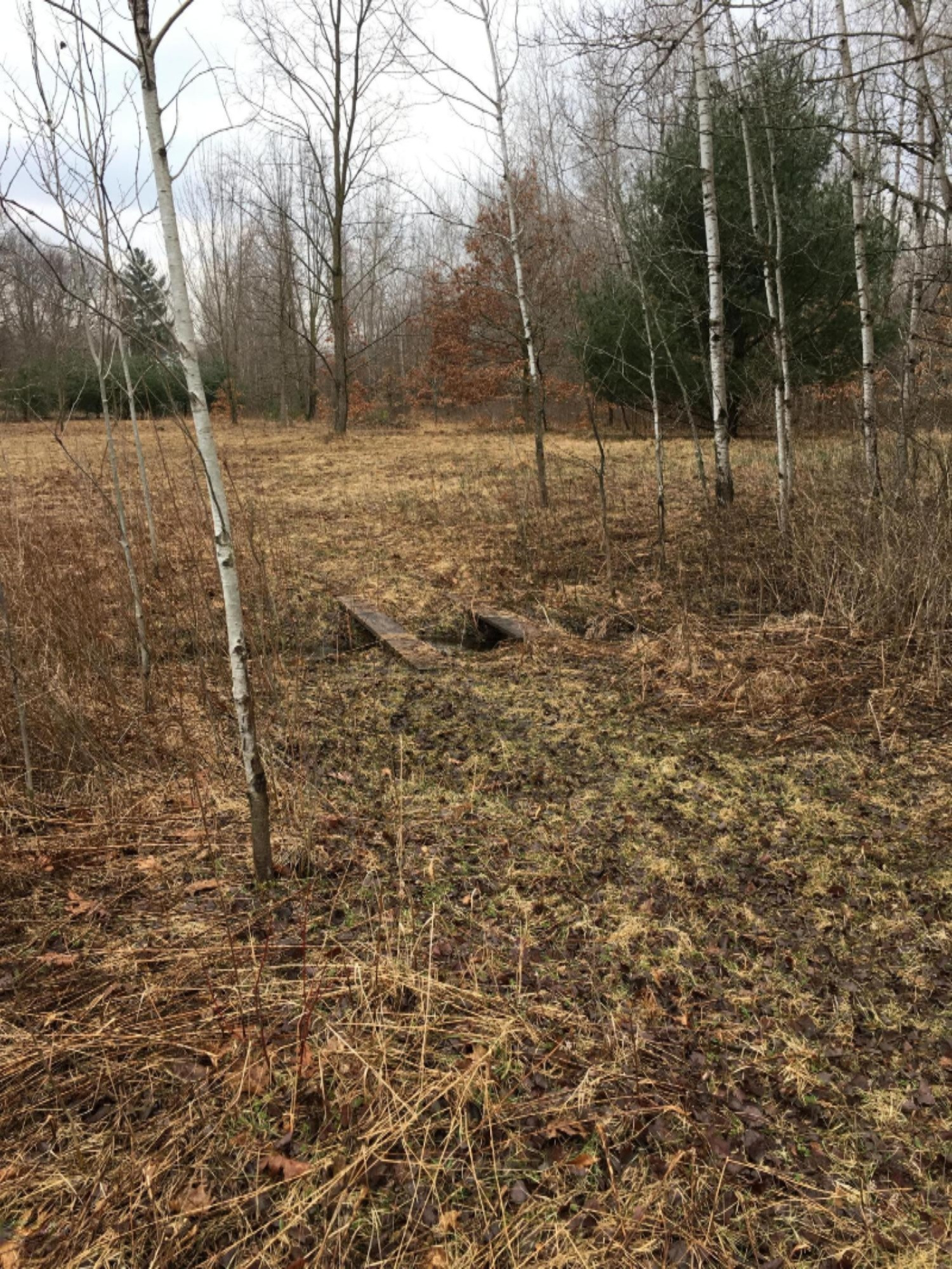 480 North Trent Road Ravenna, MI 49451 - Photo 2 of 11 480.8