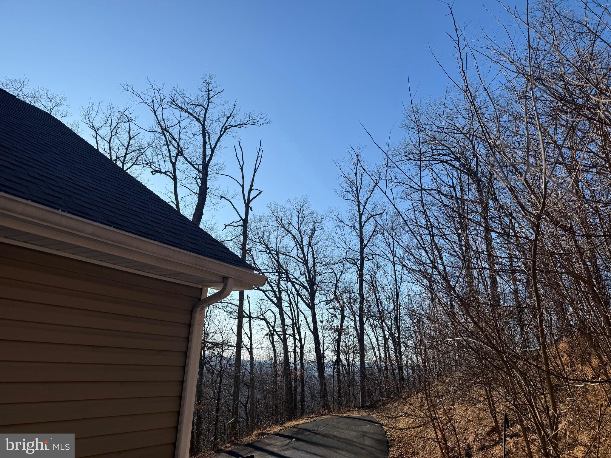 1157 Granny Smith Road Linden, VA 22642 - Photo 41 of 44 View from Back Deck