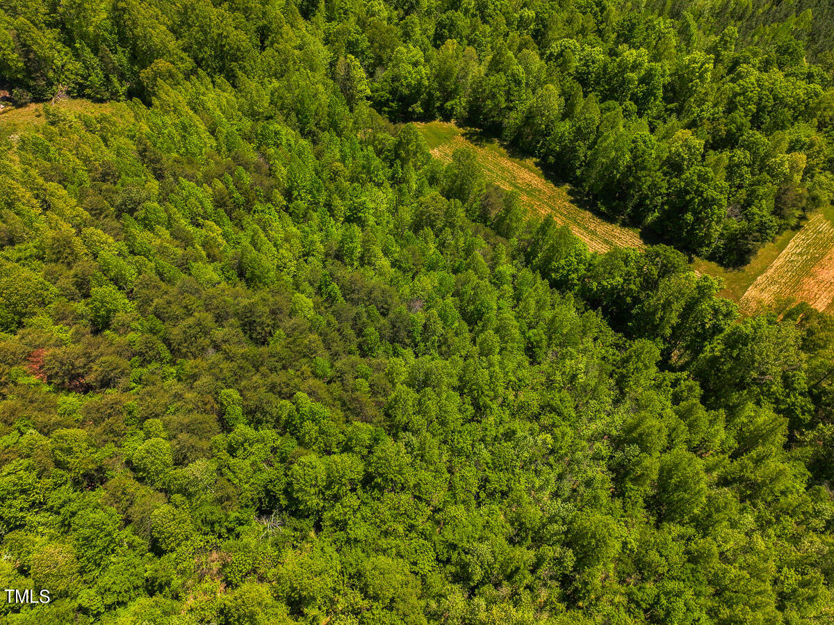 Lot-4-00 Wilson Road Providence, NC 27315 - Photo 31 of 38 Caswell Co. NC -Wilsons Ridge-Lot 4-31