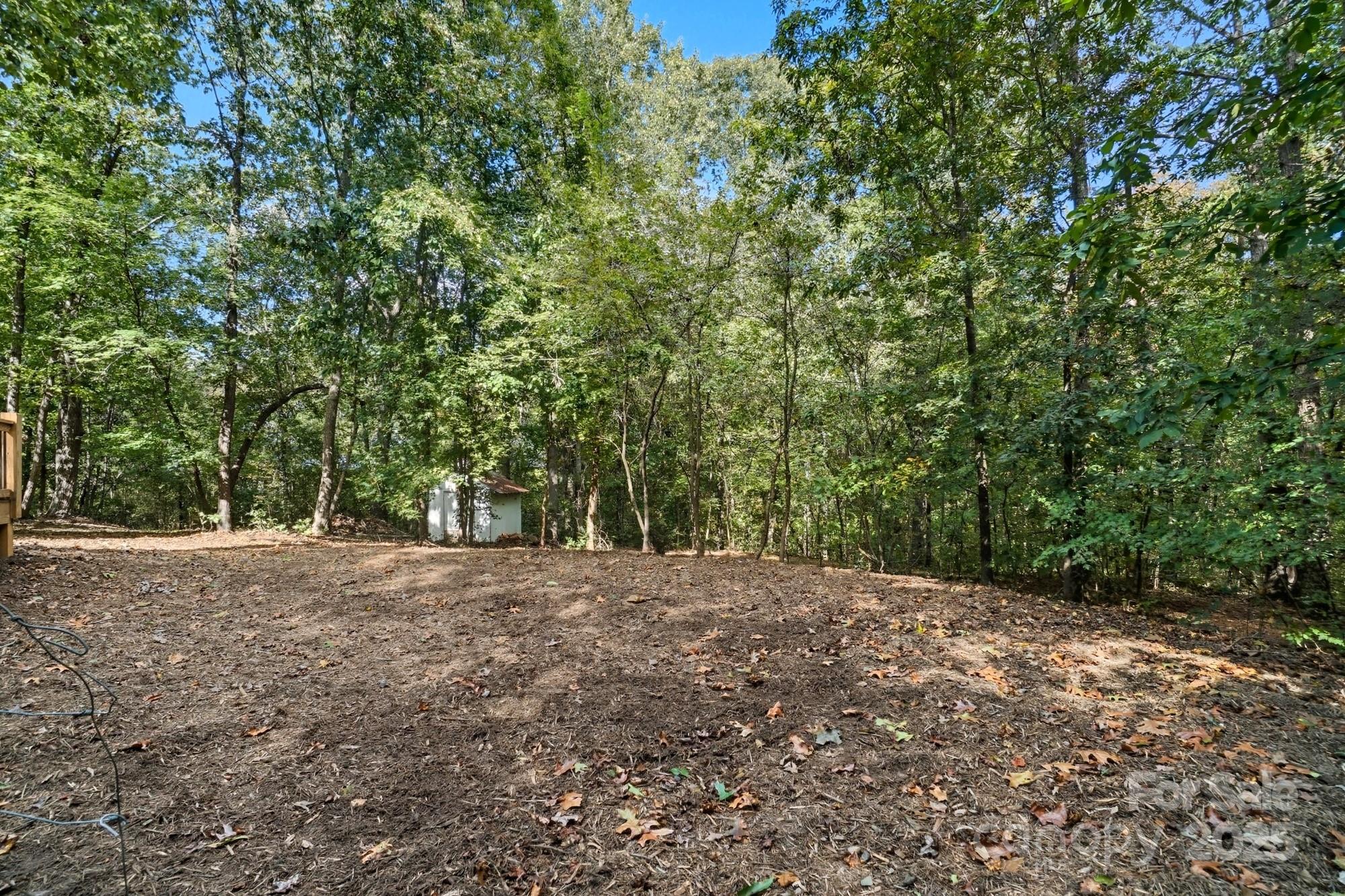 7218 Alexander Farm Road Monroe, NC 28110 - Photo 41 of 47