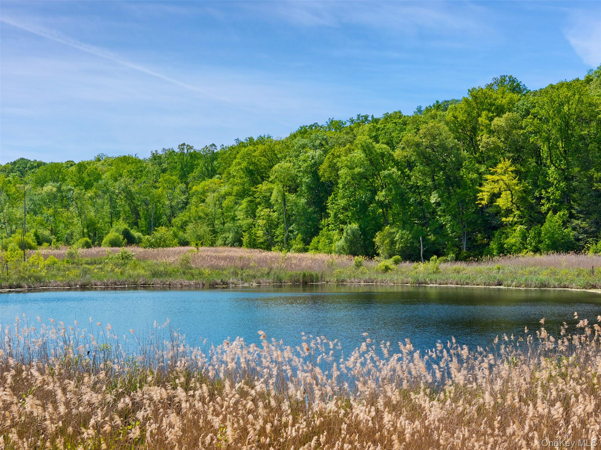 258 Hardscrabble Road North Salem, NY 10560 - Photo 3 of 40