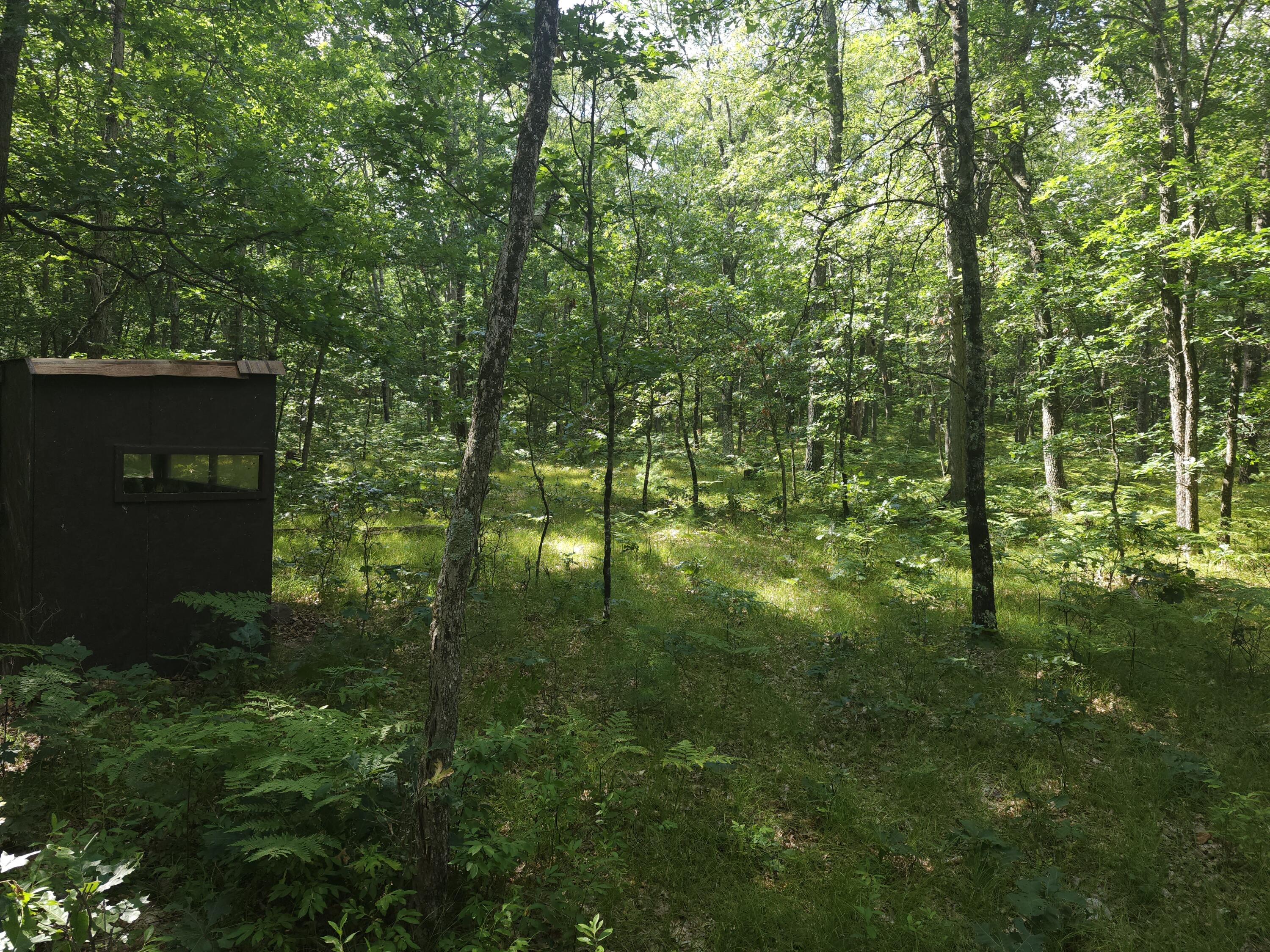 6909 North Lone Elk Road Irons, MI 49644 - Photo 15 of 16 cabin shooting shack 2nd view - Copy