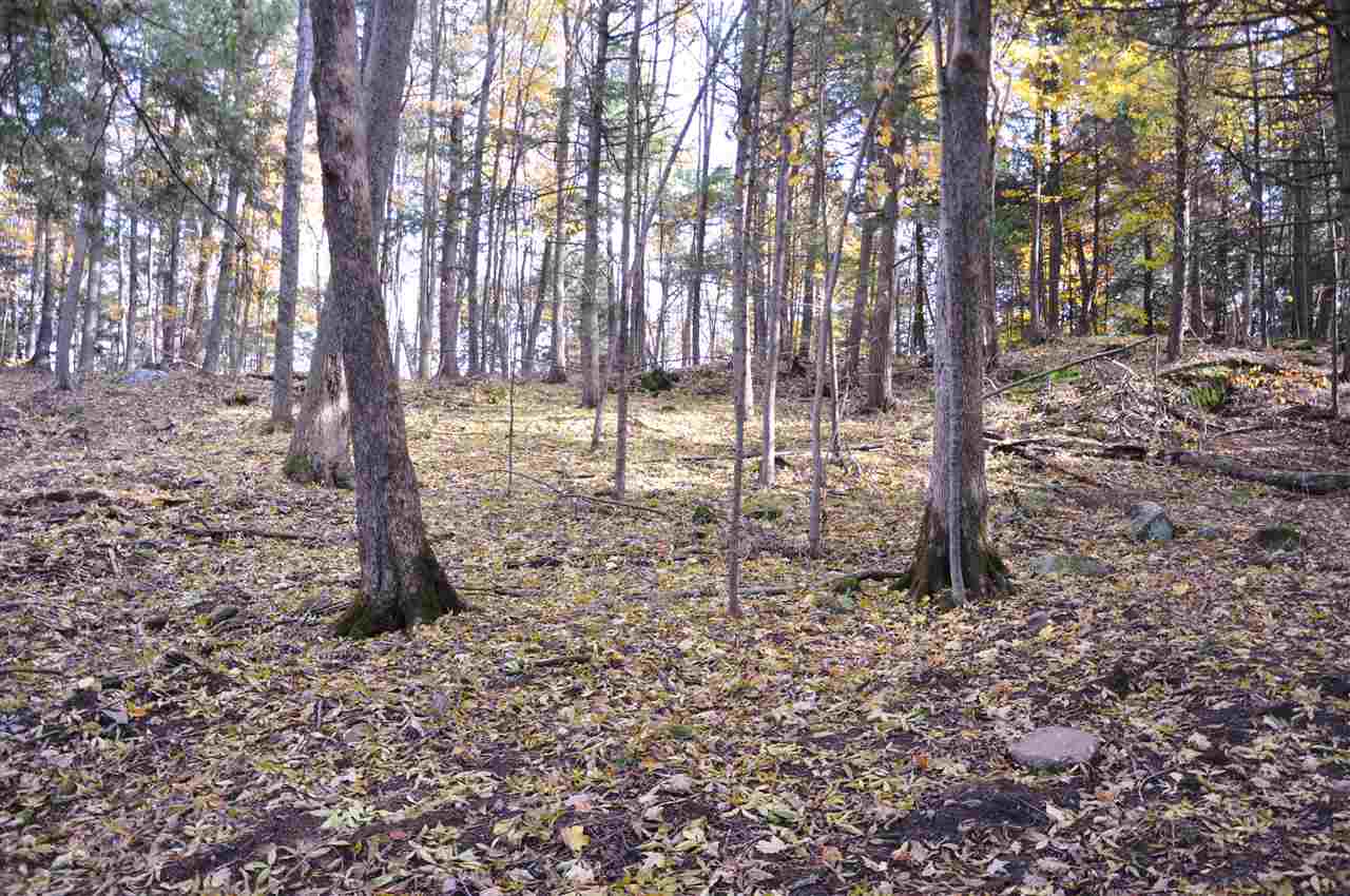 61 Pond Road, Unit 3 Shelburne, VT 05482 - Photo 26 of 28 Gallery Image 26