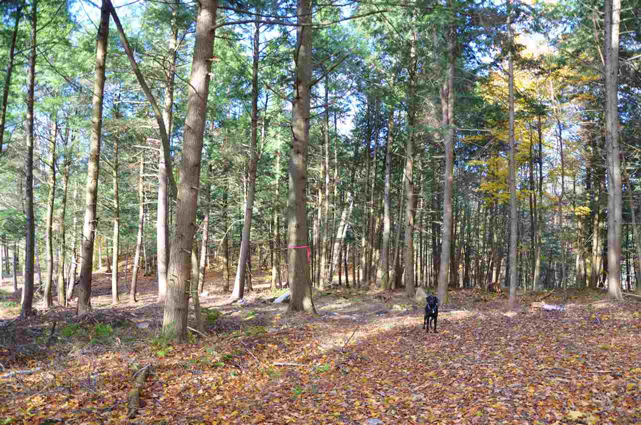 61 Pond Road, Unit 3 Shelburne, VT 05482 - Photo 27 of 28 Gallery Image 27