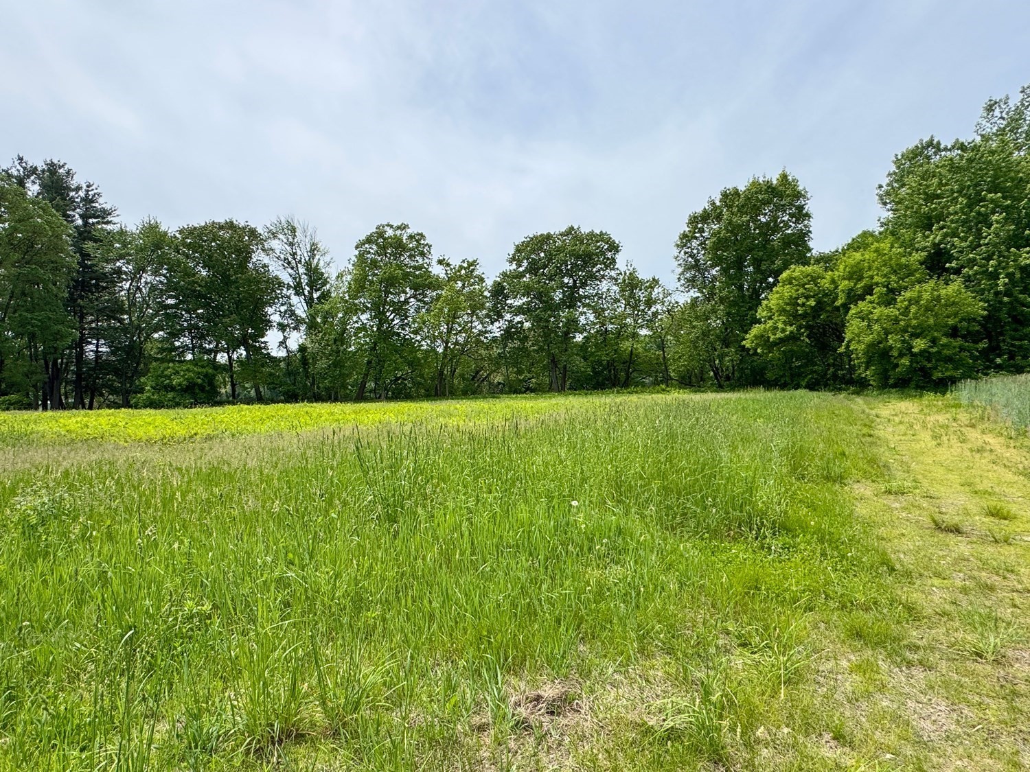 0 Meadow Road Montague, MA 01351 - Photo 19 of 21 Gallery Image 19