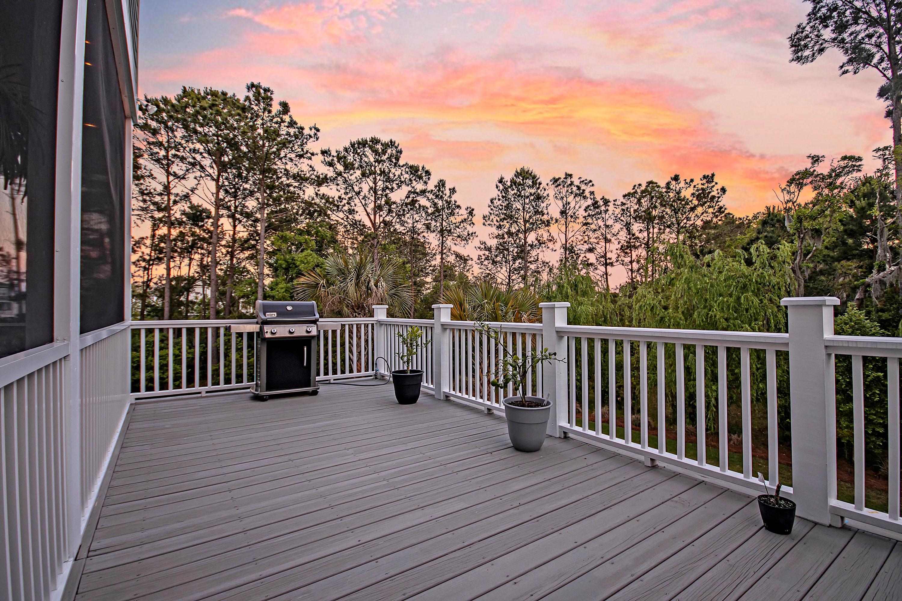 1589 Red Tide Road Mount Pleasant, SC 29466 - Photo 60 of 67 CREM_1589 Red Tide Rd. Twilight_002