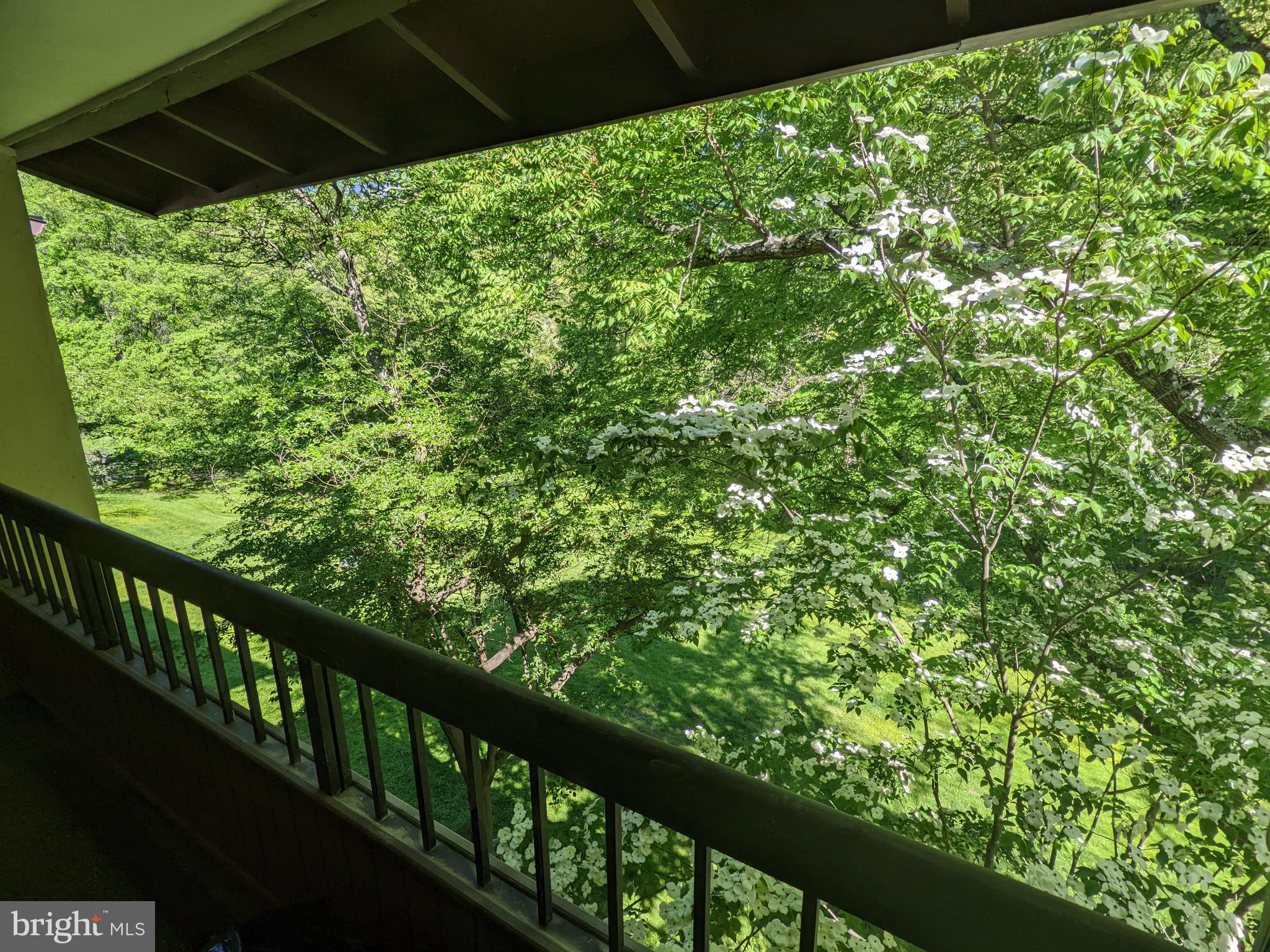 5727 Harpers Farm Road, Unit F Columbia, MD 21044 - Photo 47 of 57 Wooded View