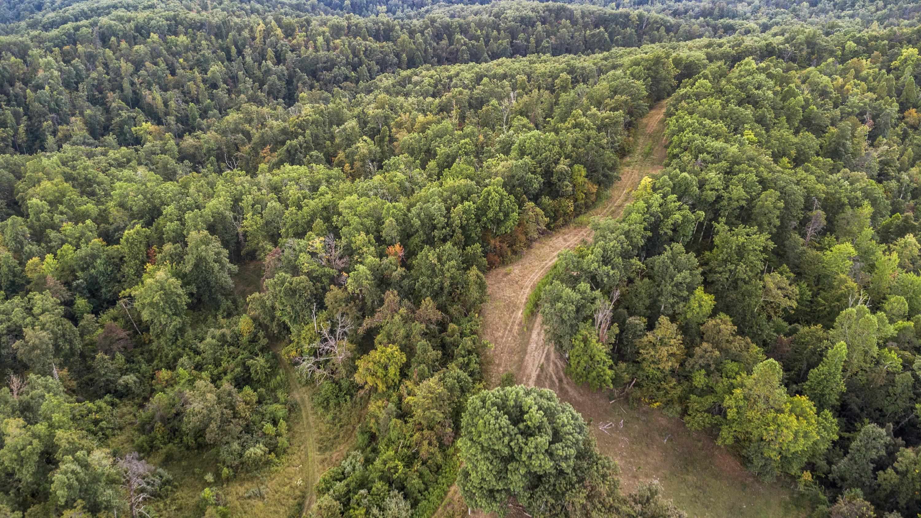 122 Clay Jack Road Rush, KY 41168 - Photo 49 of 49 Gallery Image 49