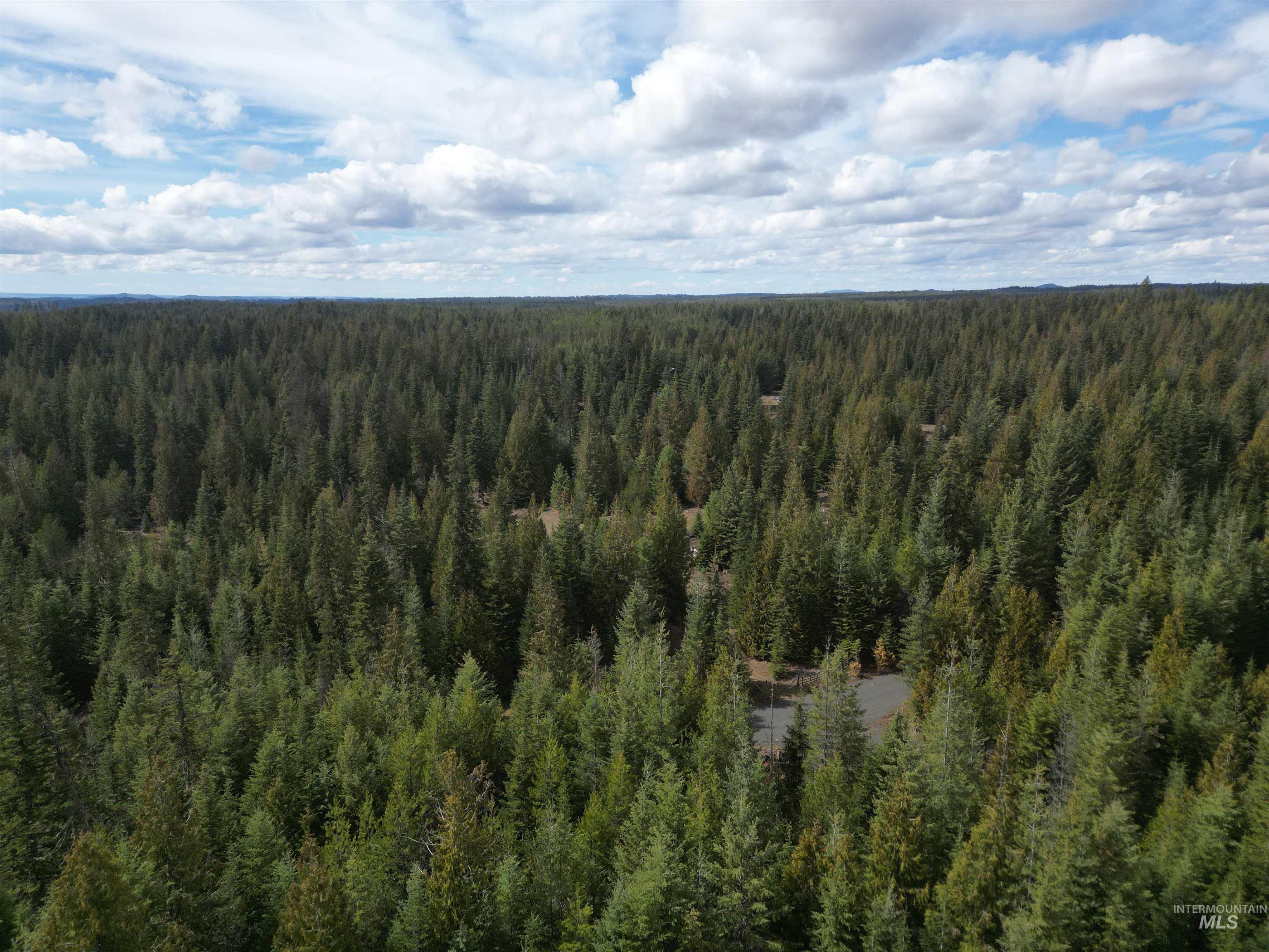 Tbd Lot 10 Tbd Lane Weippe, ID 83553 - Photo 12 of 29