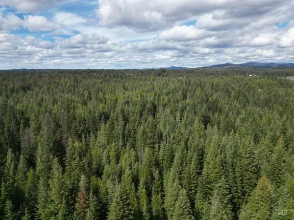 $100,000 | Tbd Lot 10 Tbd Lane, Weippe, ID 83553