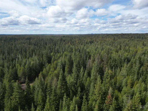 $100,000 | Tbd Lot 10 Tbd Lane, Weippe, ID 83553